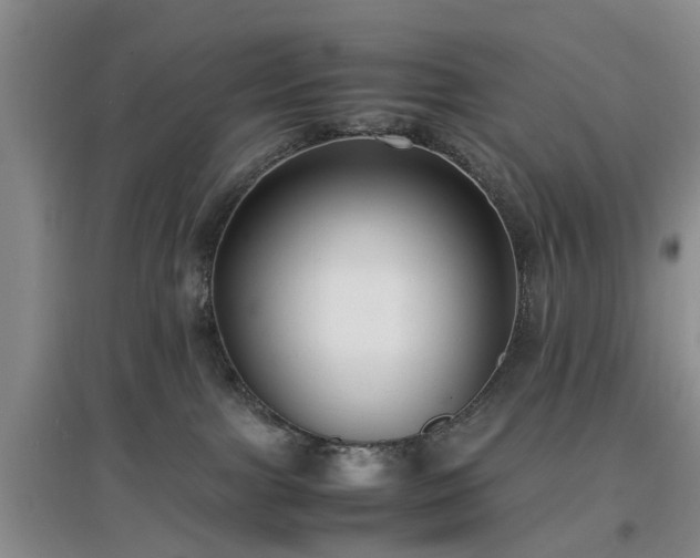 X0000097000091200802151423