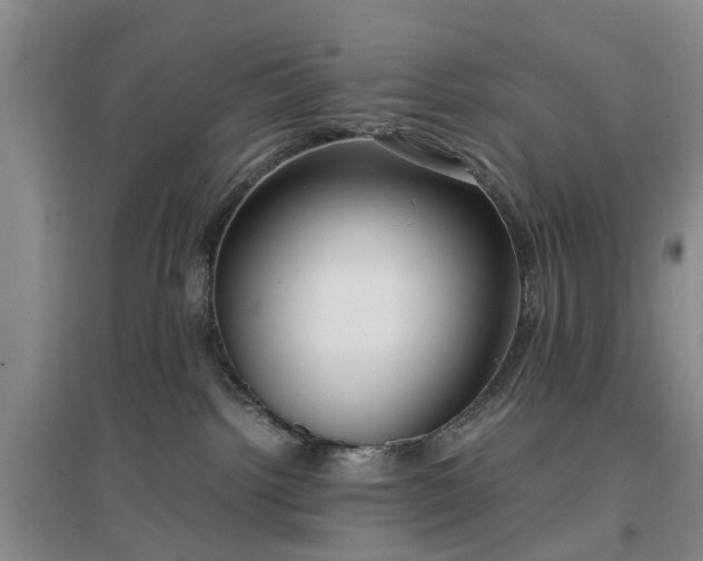 X0000097000092200802151423