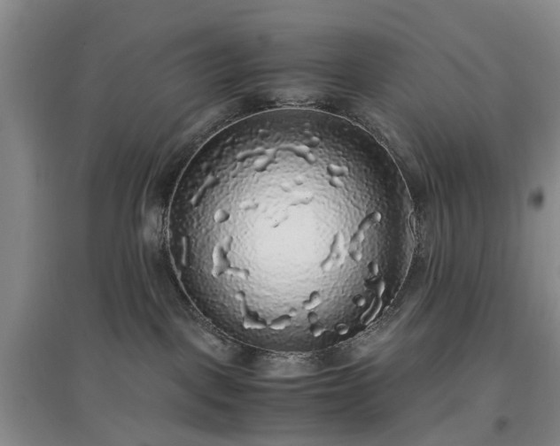 X0000097000093200802151423