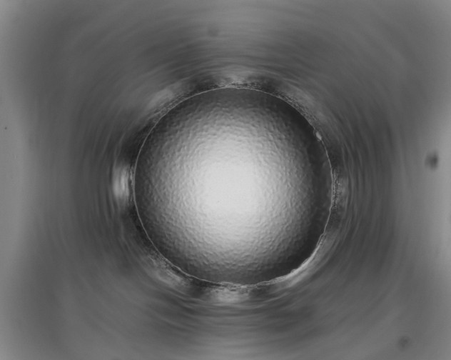 X0000097000094200802151424