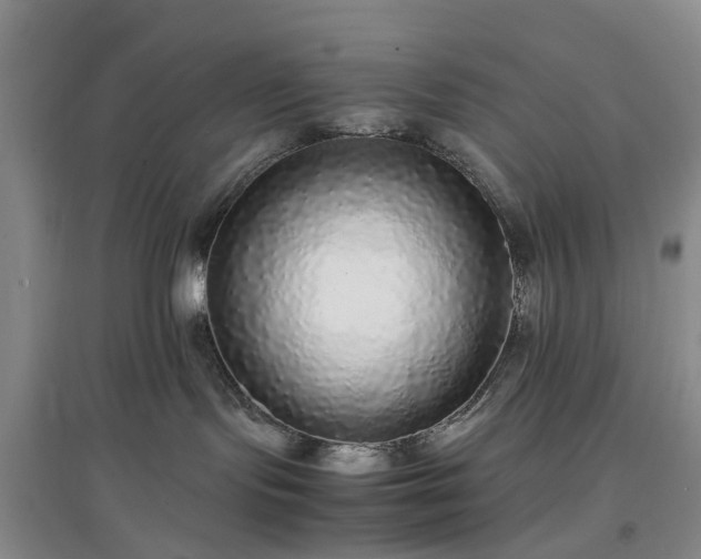 X0000097000095200802151424