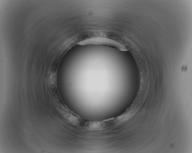 X0000097000096200802151424