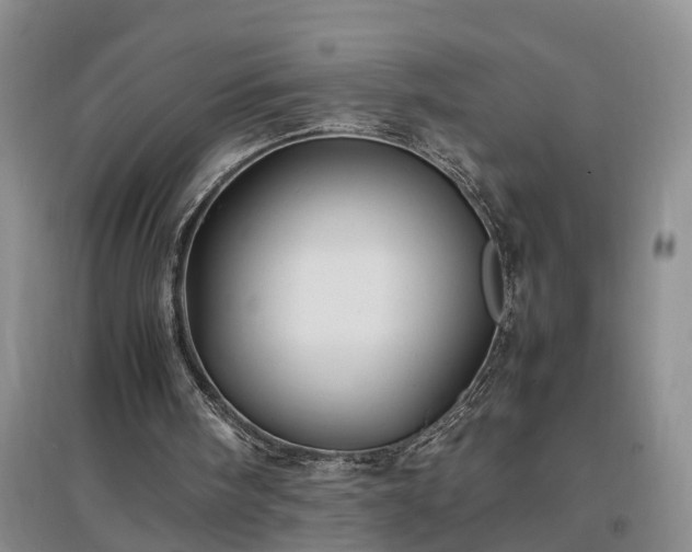 X0000097000098200802151423