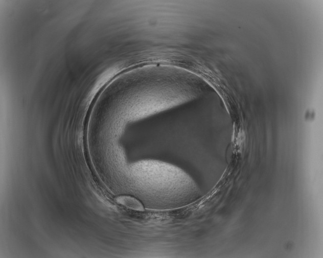 X0000097000099200802151423