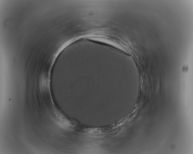 X0000097000100200802151423