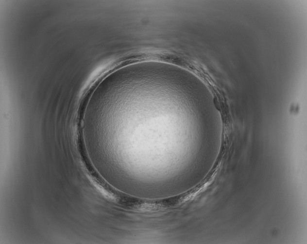 X0000097000101200802151423