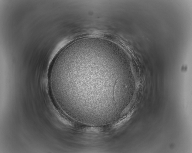 X0000097000102200802151423