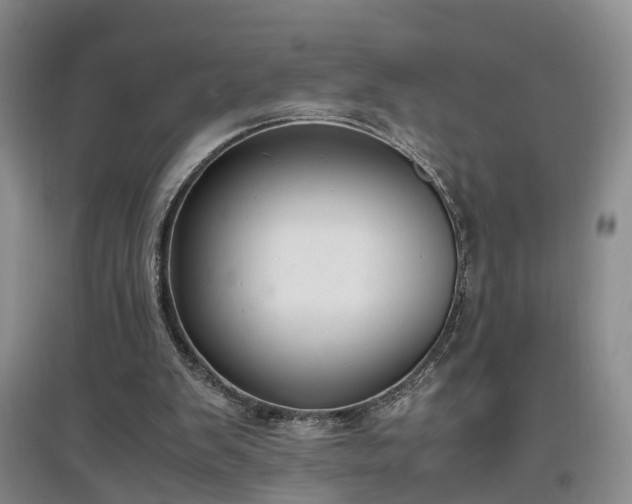 X0000097000103200802151423