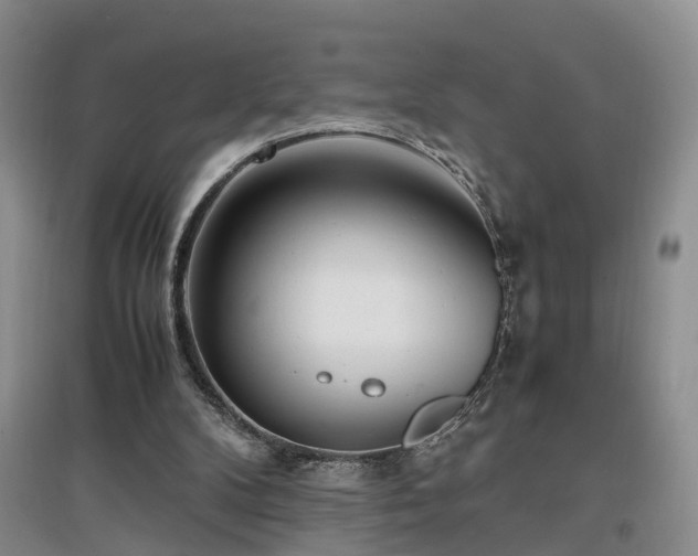 X0000097000104200802151423