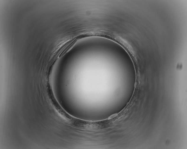 X0000097000105200802151423