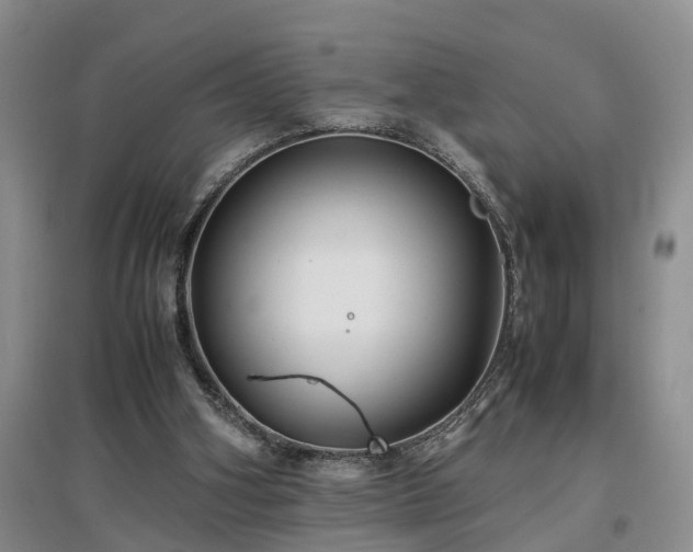 X0000097000106200802151423