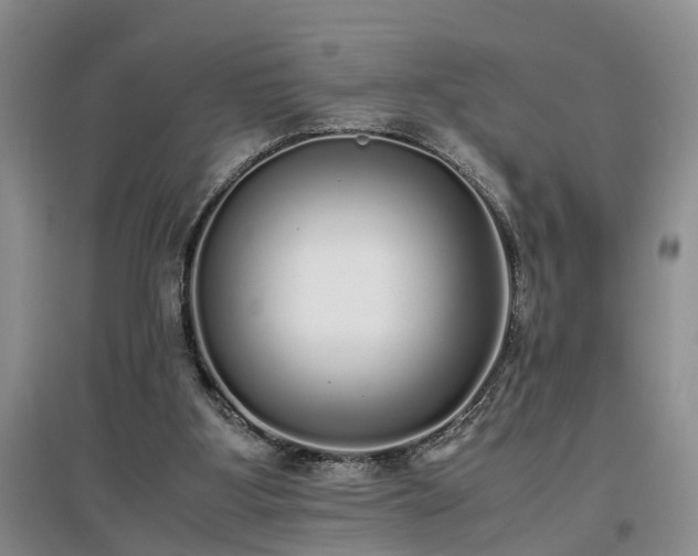 X0000097000107200802151423