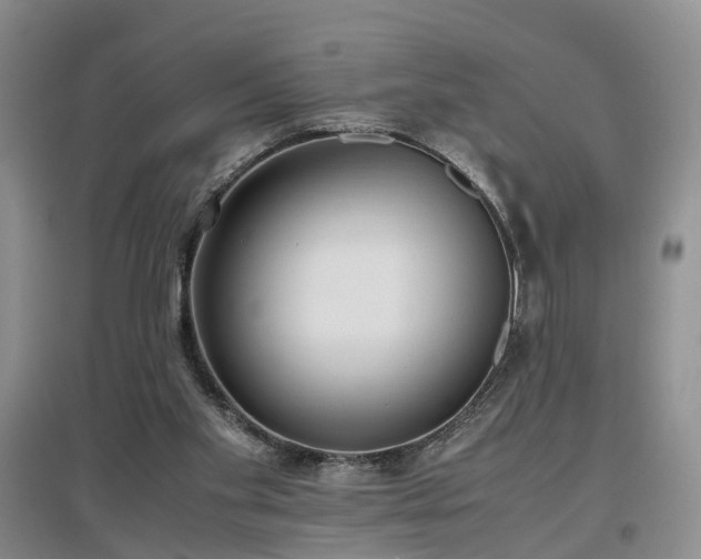 X0000097000109200802151423