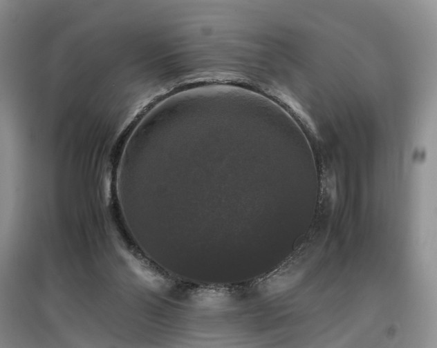 X0000097000110200802151423