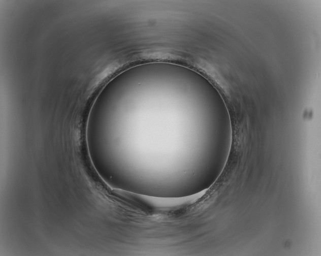 X0000097000111200802151423