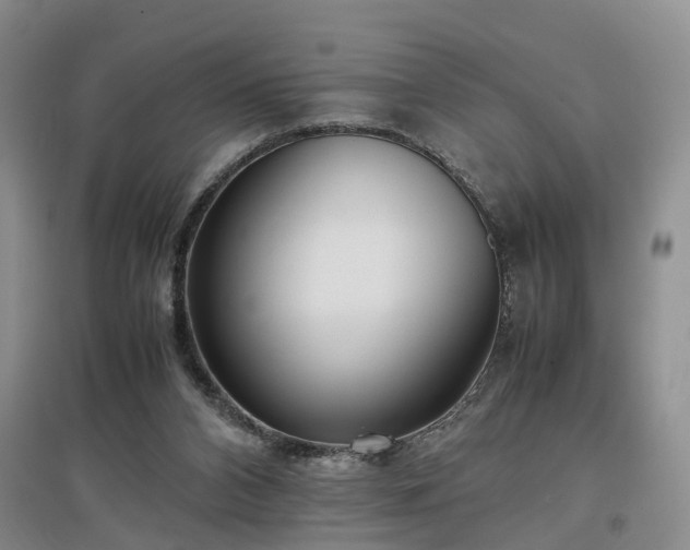 X0000097000112200802151422