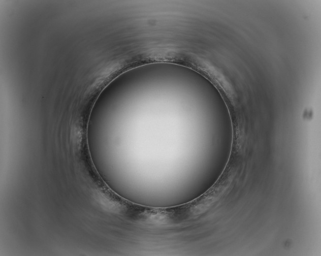 X0000097000113200802151422