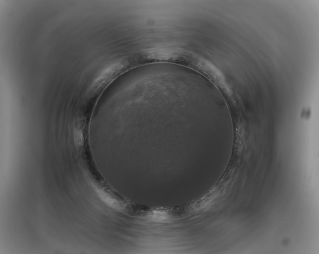 X0000097000114200802151422