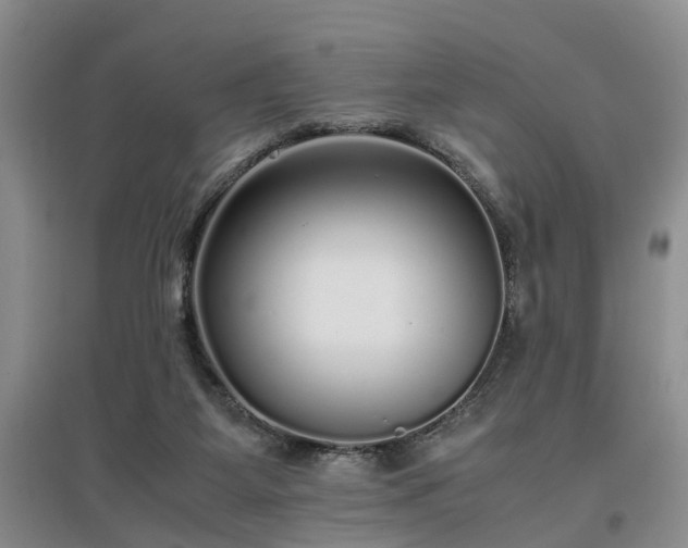 X0000097000115200802151422