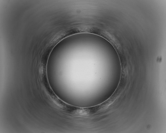 X0000097000117200802151422