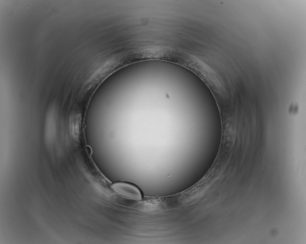 X0000097000118200802151422