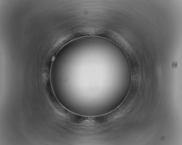 X0000097000119200802151422