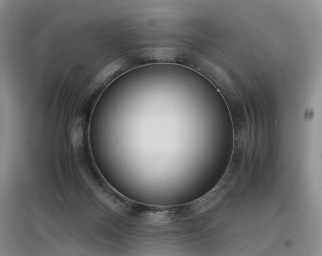 X0000097000120200802151422