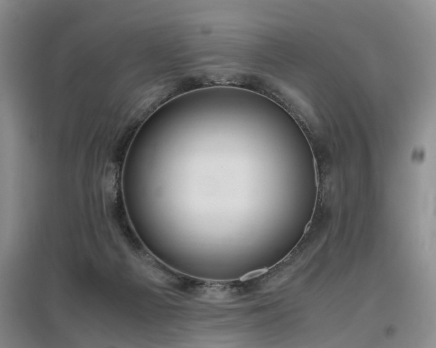 X0000097000121200802151422