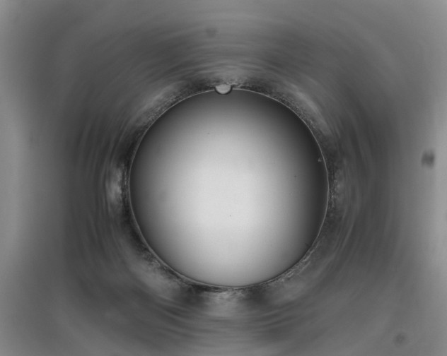 X0000097000122200802151422