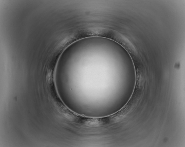 X0000097000123200802151422