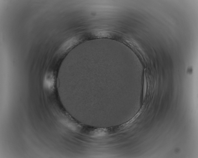 X0000097000124200802151422