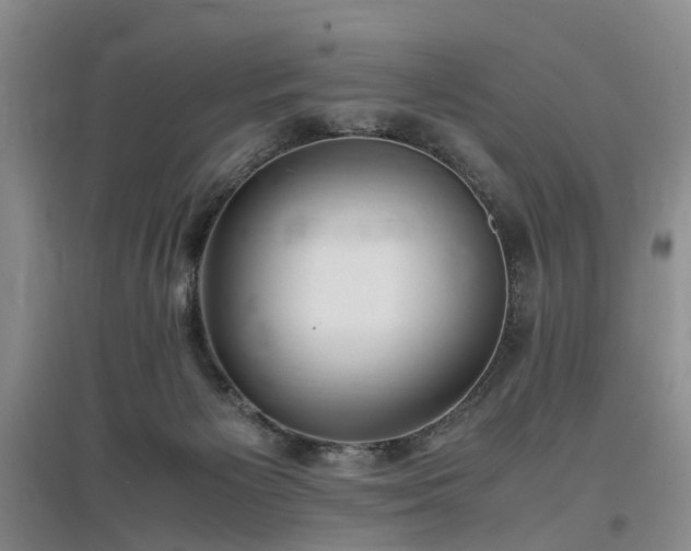 X0000097000125200802151422