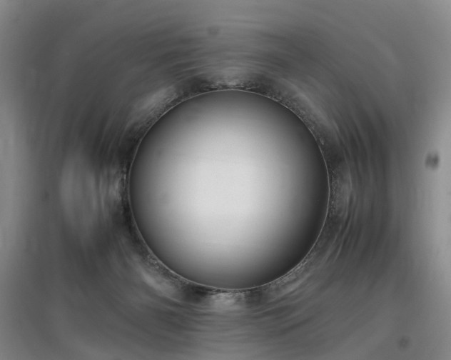 X0000097000126200802151422