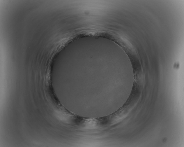 X0000097000127200802151422