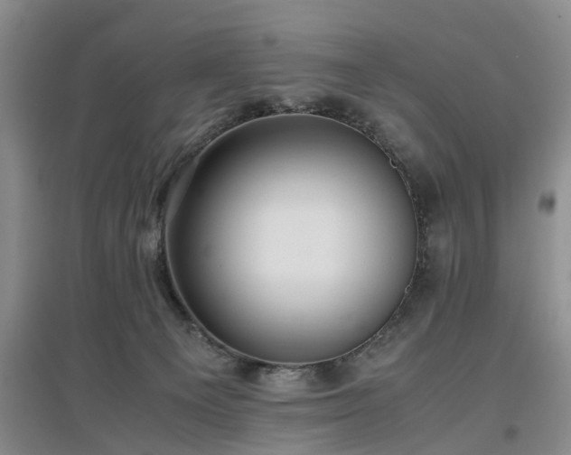 X0000097000129200802151422