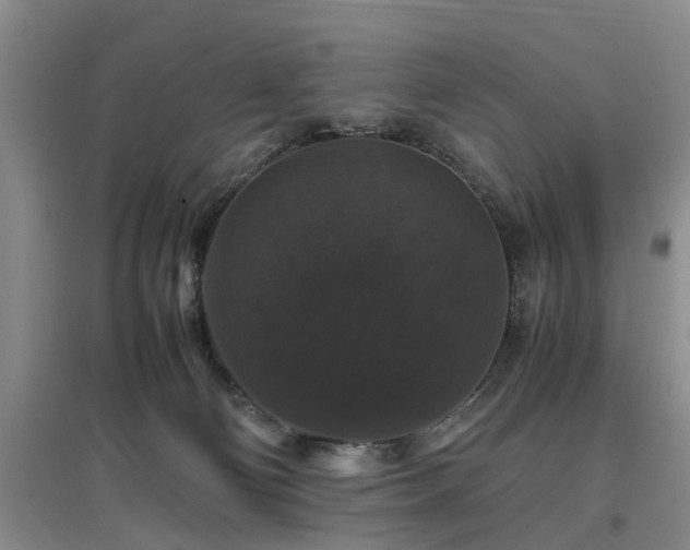 X0000097000130200802151422