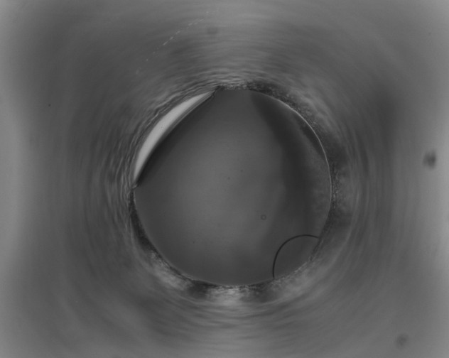 X0000097000131200802151422