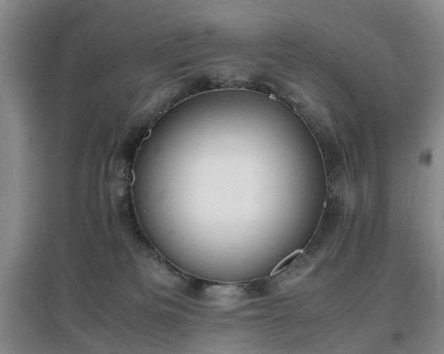 X0000097000133200802151422