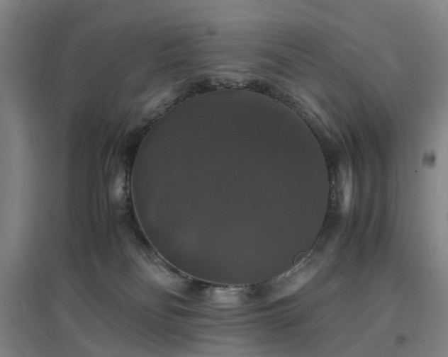 X0000097000134200802151422