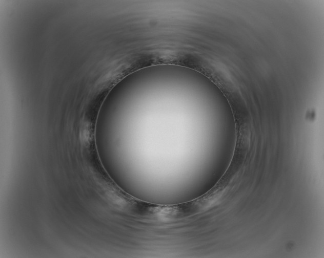 X0000097000135200802151422