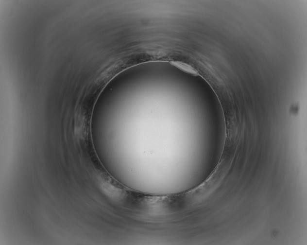 X0000097000136200802151422