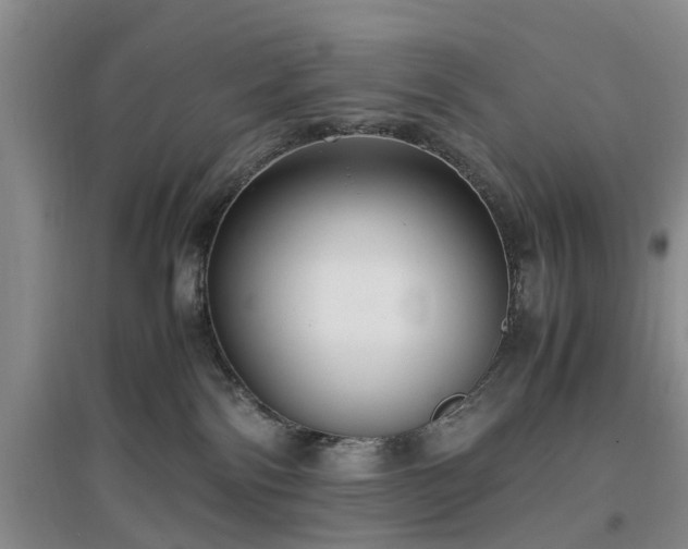 X0000097000138200802151422