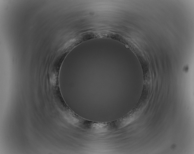 X0000097000139200802151422