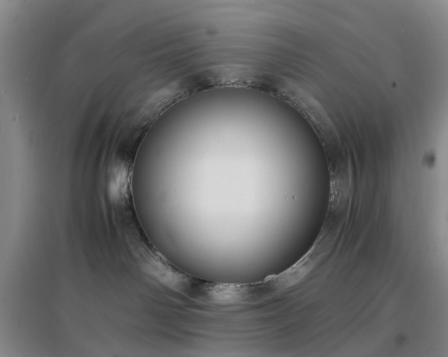 X0000097000142200802151422