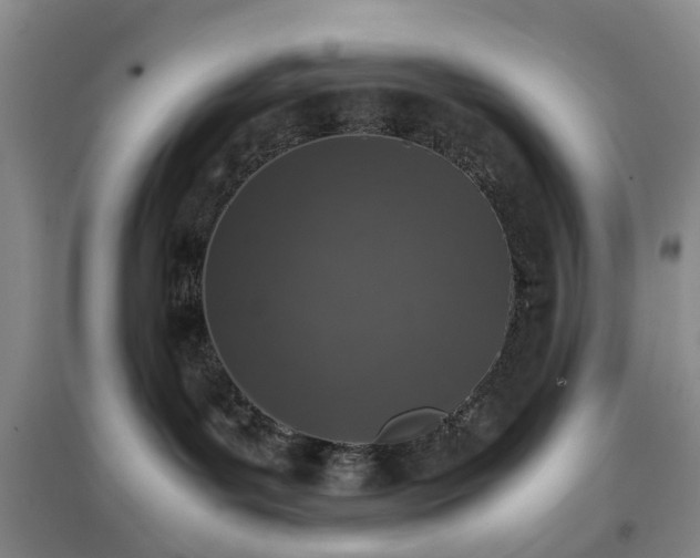 X0000097000143200802151422