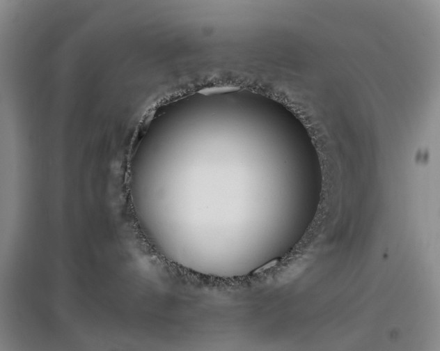 X0000097000144200802151422