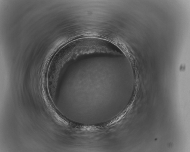 X0000097000145200802151421