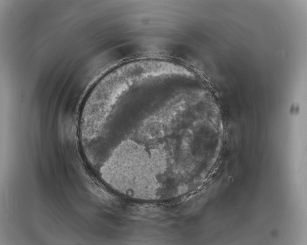 X0000097000146200802151421