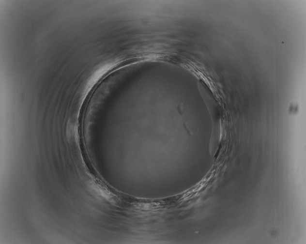 X0000097000147200802151421