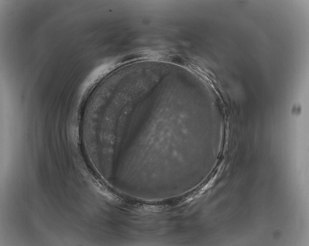 X0000097000149200802151421